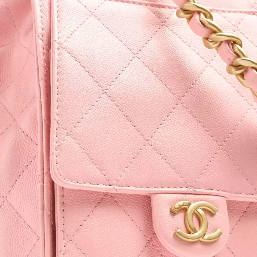 CHANEL 25 MEDIUM-SIZED BAG