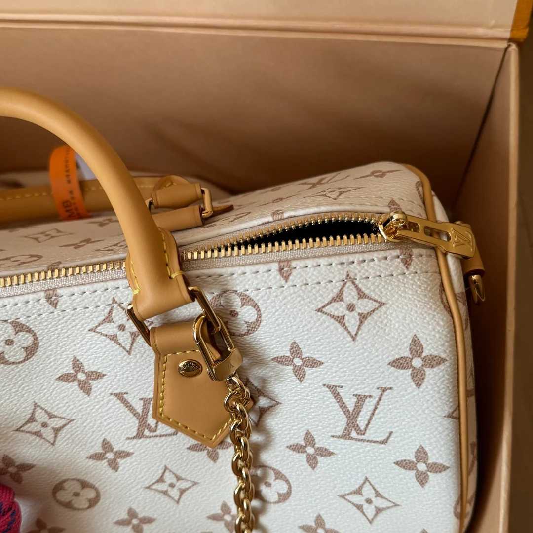 LOUIS VUITTON MEDIUM-SIZED HANDBAG