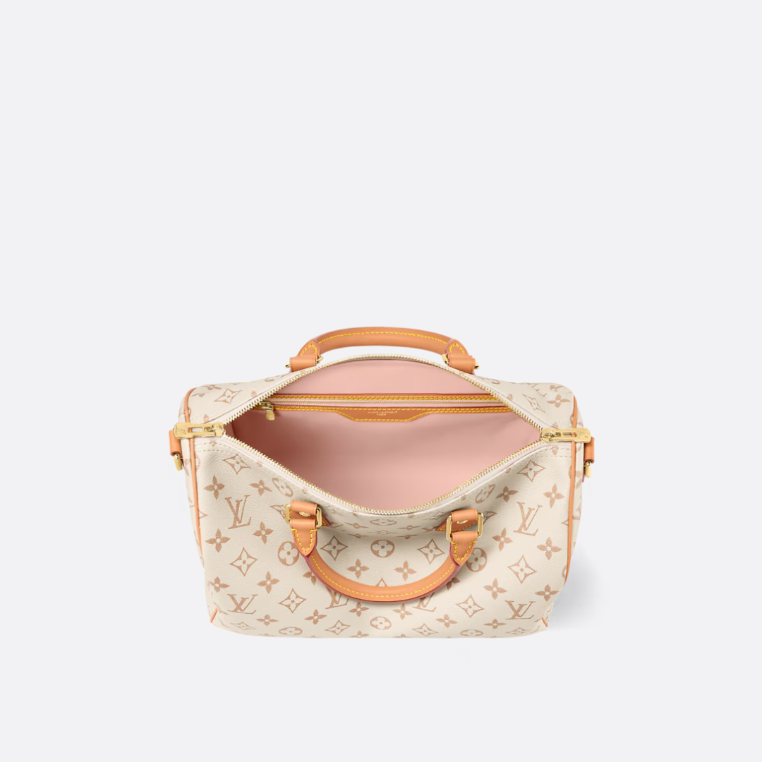 LOUIS VUITTON MEDIUM-SIZED HANDBAG