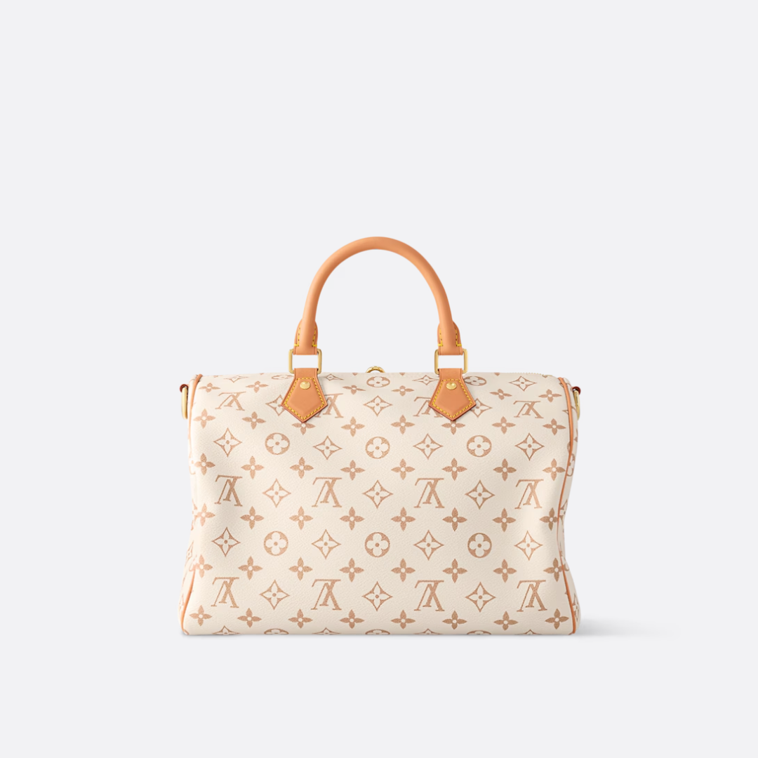 LOUIS VUITTON MEDIUM-SIZED HANDBAG