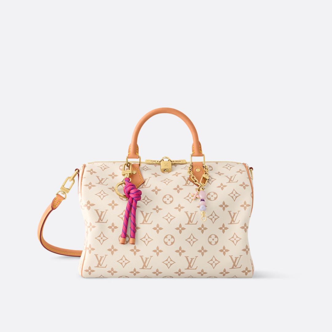 LOUIS VUITTON MEDIUM-SIZED HANDBAG